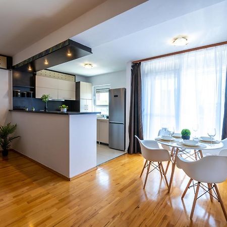 Business And Travel Lounge With Private Parking Apartment Timisoara Exterior photo