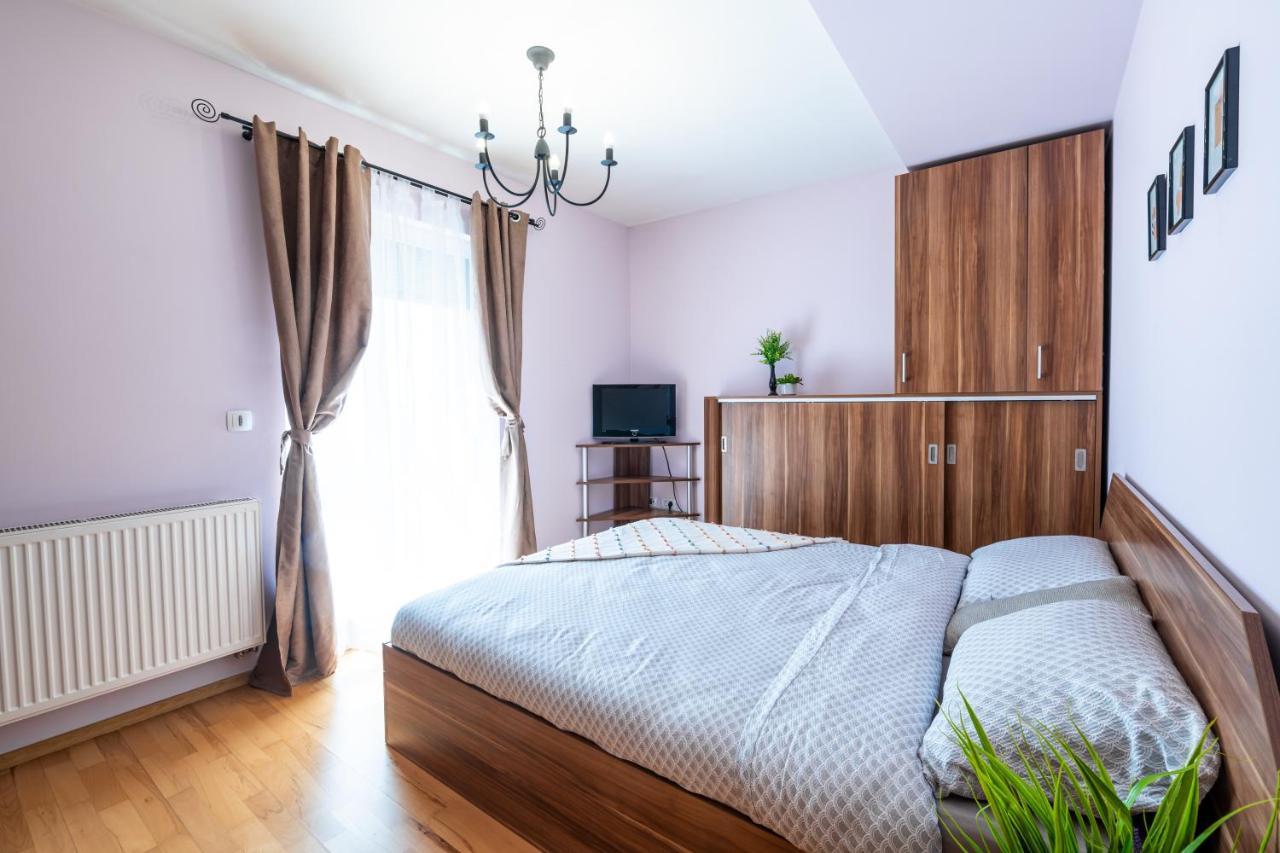 Business And Travel Lounge With Private Parking Apartment Timisoara Exterior photo