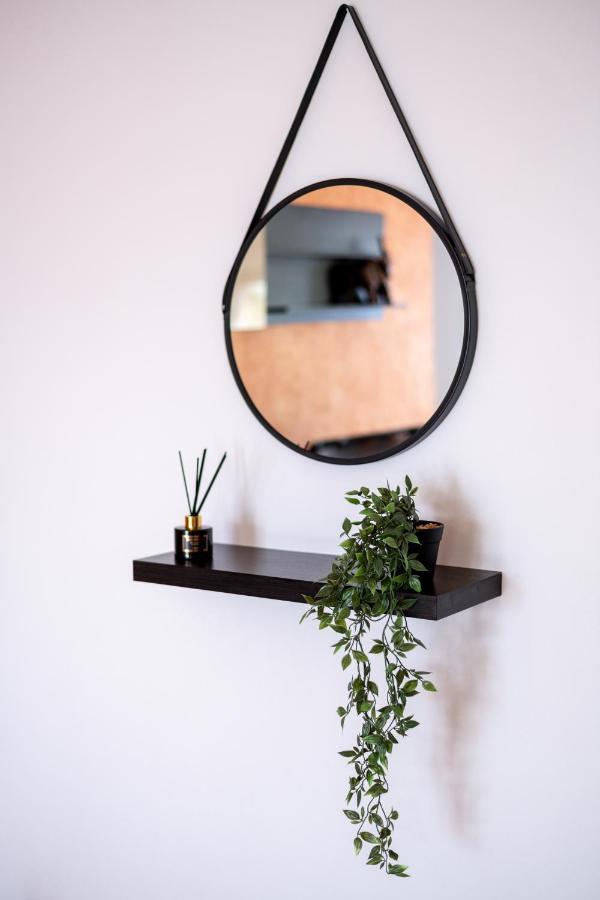 Business And Travel Lounge With Private Parking Apartment Timisoara Exterior photo