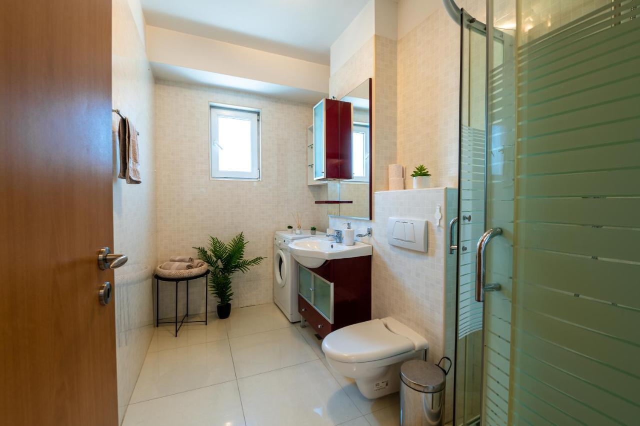 Business And Travel Lounge With Private Parking Apartment Timisoara Exterior photo