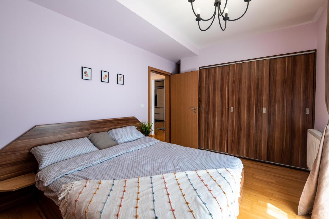 Business And Travel Lounge With Private Parking Apartment Timisoara Exterior photo
