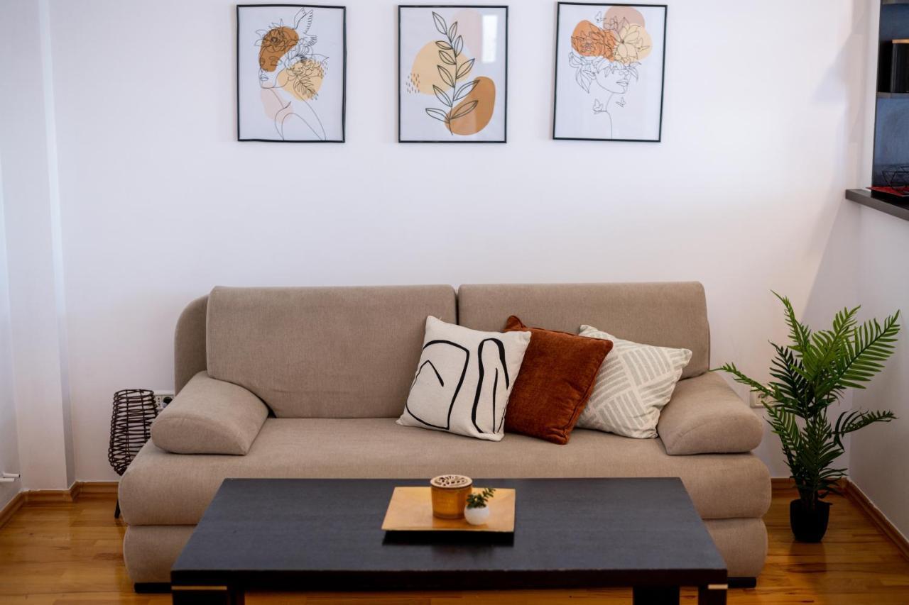 Business And Travel Lounge With Private Parking Apartment Timisoara Exterior photo