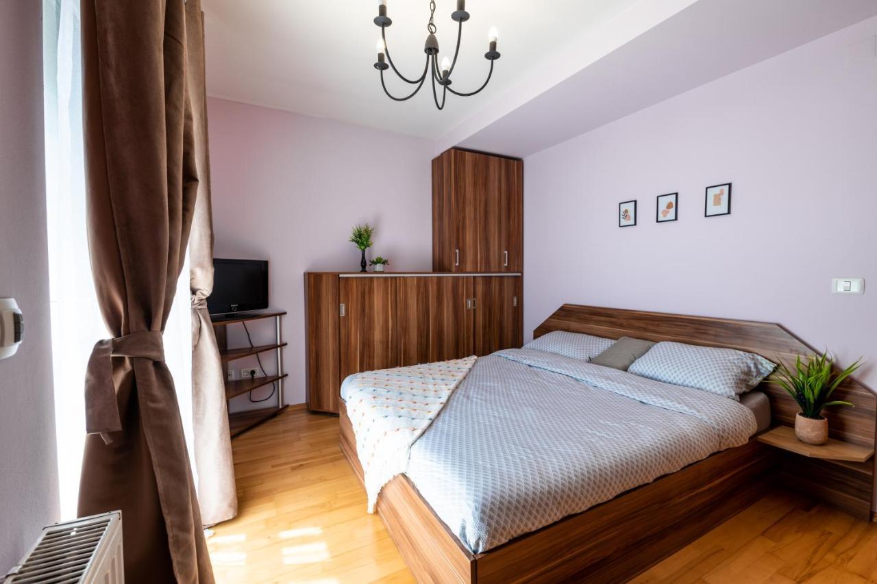 Business And Travel Lounge With Private Parking Apartment Timisoara Exterior photo